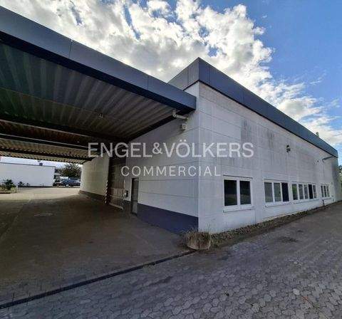 Celle Halle, Celle Hallenfläche