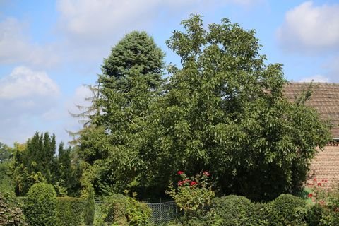 Meerbusch Grundstücke, Meerbusch Grundstück kaufen