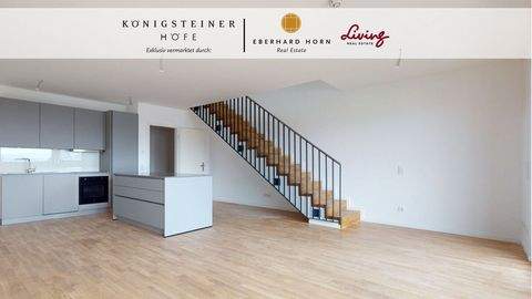 Königstein Wohnungen, Königstein Wohnung mieten