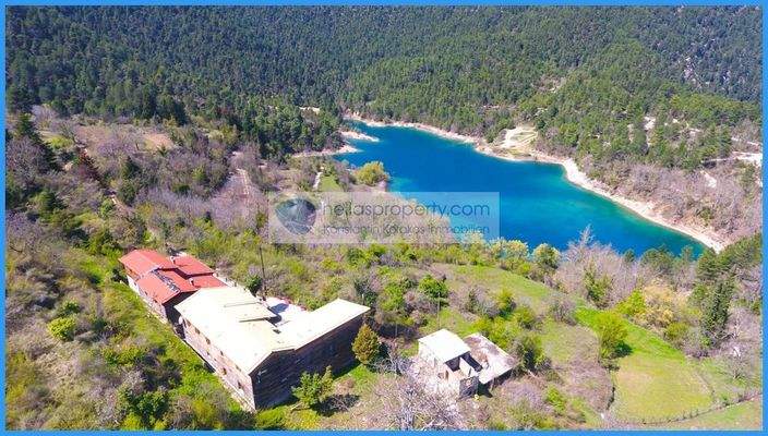 7d51f7c6351048cf8cf783434805fee3-original