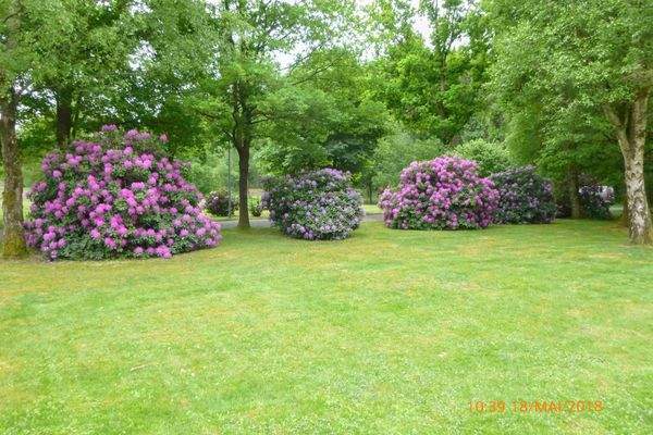 Sommeraufnahme_Parkähnlich
