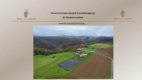 Steinsberg Bauernhöfe, Landwirtschaft, Steinsberg Forstwirtschaft