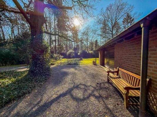 Einfahrt / Gartenblick