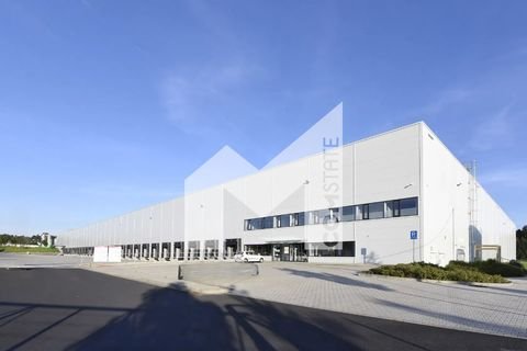 Witten Halle, Witten Hallenfläche