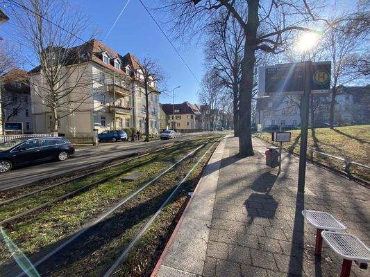 Fotodokumentation_Windthorststr.7inErfurt_kleind_S