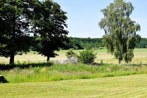 Weitblick über Wiesen