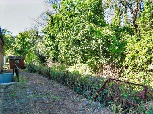 Garten-Richtung Wald