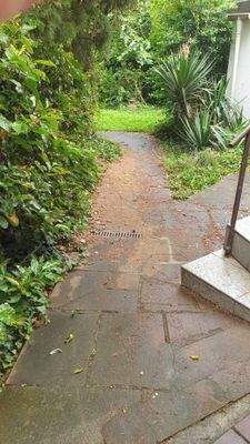 Verwunschener Gartenpfad