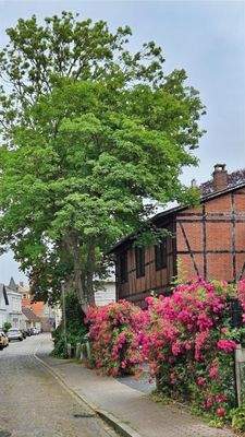 Einbahnstraße (von Süden)