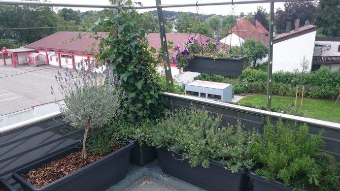 Ausblick Dachterrasse 