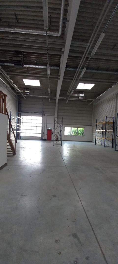 Kassel Halle, Kassel Hallenfläche