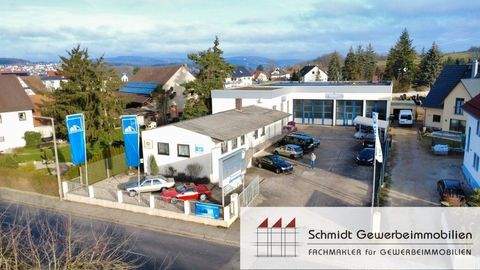 Pinzberg, OT: Gosberg Halle, Pinzberg, OT: Gosberg Hallenfläche