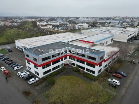 Viernheim Büros, Büroräume, Büroflächen 