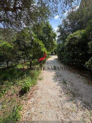 WhatsApp Image 2025-05-12 at 12.29.35-3.jpeg