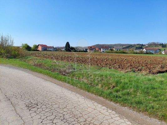 Viel Platz und viele Optionen