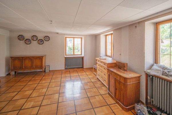 Hilzingen Binningen  (21)