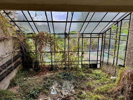 Gewächshaus