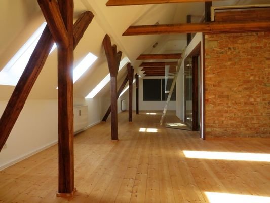 DG Studio 