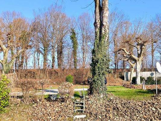 Sonne und gleichzeitig beschattet - außer im Winter :-) - durch alten Baumbestand 