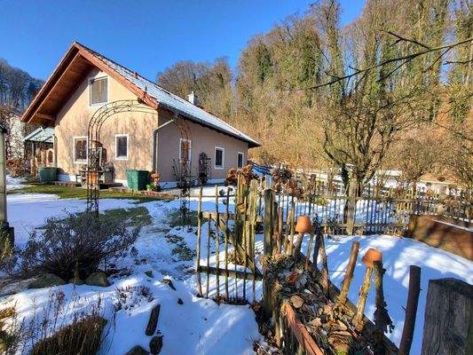 06. Süd-Ansicht mit Gemüsegarten.jpg