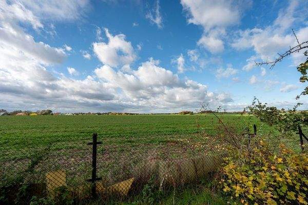 Blick über den Zaun