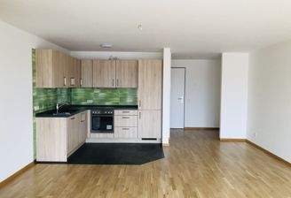 Wohnbereich / Küchenbereich