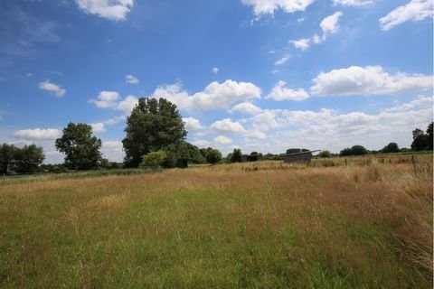 Winsen-Laßrönne Bauernhöfe, Landwirtschaft, Winsen-Laßrönne Forstwirtschaft