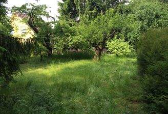 Vorderes Traumgrundstück