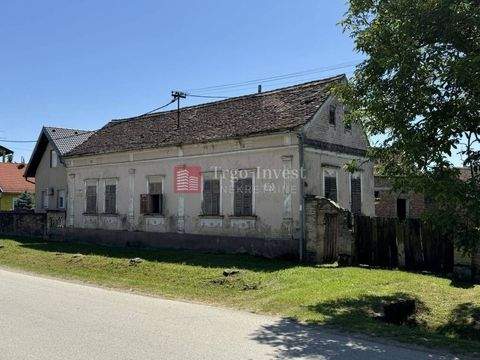 Sibinj Häuser, Sibinj Haus kaufen