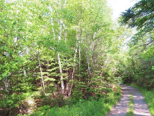 Cape Breton - Wunderschönes 11-Hektar-Areal mit 23