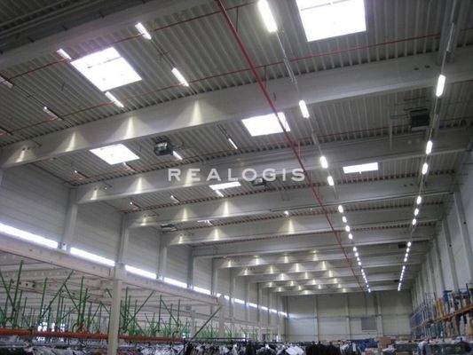 Innenansicht Hallenfläche