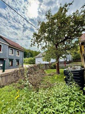Garten mit Apfelbaum I