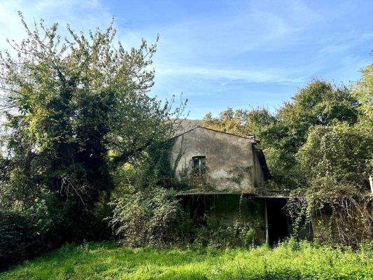 WhatsApp Image 2024-11-05 at 11.24.00 (9).jpeg