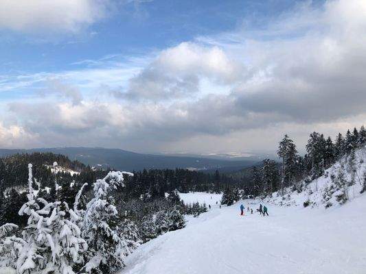 Umgebung im Winter I