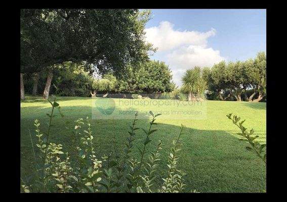 Villa Hersonisos (18)