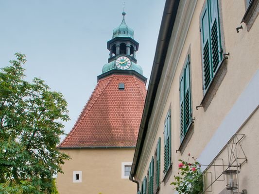 HERZOG1 - Mitten in Weiden