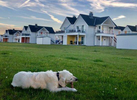 Für Mensch und Tier ein Paradies – hier fühlen sich alle willkommen