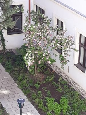 Garten im Mai