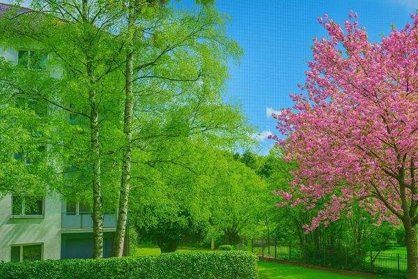 Frühlingansicht Blick von der Wohnung