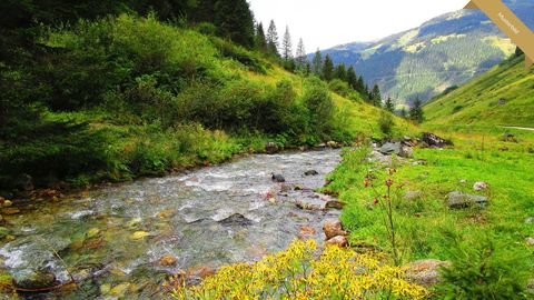 Regen Renditeobjekte, Mehrfamilienhäuser, Geschäftshäuser, Kapitalanlage