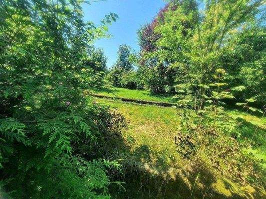 Etwas verwunschen und kuschelig .jpg