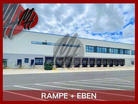 Pfungstadt Halle, Pfungstadt Hallenfläche