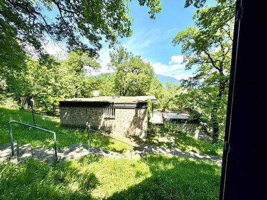 IMG_E8607 (Grande).JPG