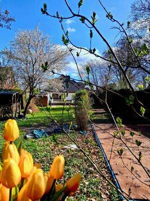 herrliches Grundstück