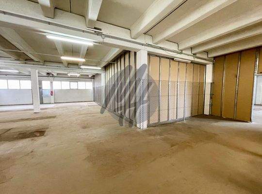 INFOS UNTER: 06171-586000