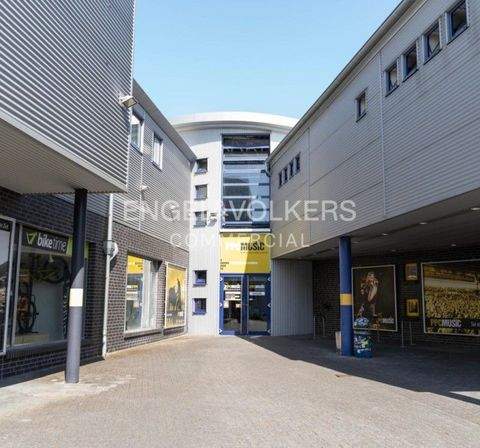 Hannover Halle, Hannover Hallenfläche