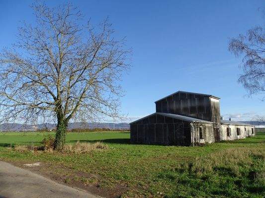 21. November 2025 Schweinestall mit Grundstück  zu verkaufen002