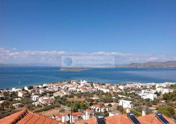 58. VIEW FROM THE BALCONIES