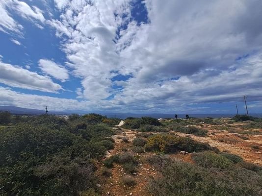 Kreta, Skaleta: Riesiges Grundstück zum Verkauf - 