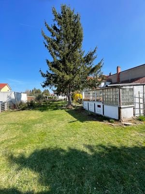 vorderer Garten